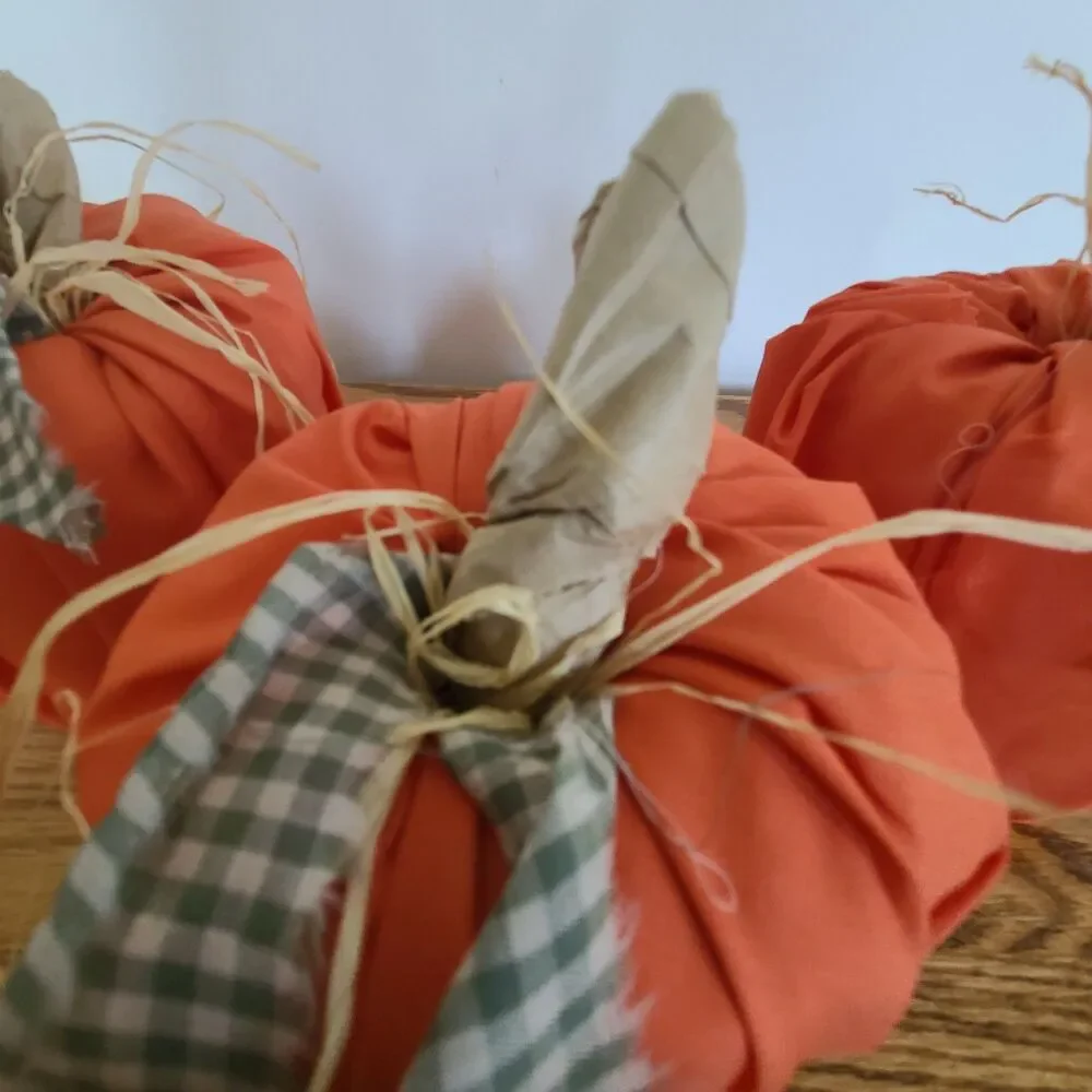 Fall Autumn Toilet Paper Roll Pumpkin Harvest Decoration Craft Set Of Three